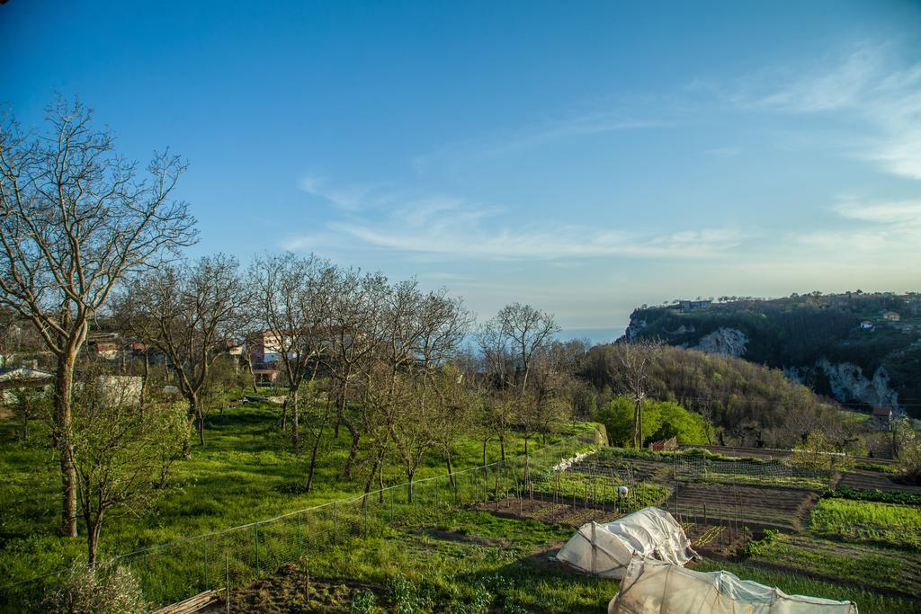 Da Zia Adele Hotel Аджерола Стая снимка
